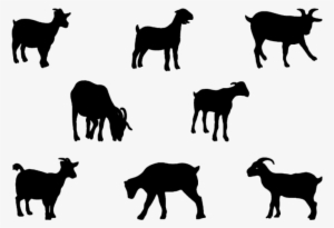 Goat PNG, Transparent Goat PNG Image Free Download - PNGkey