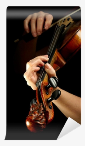 Musician Playing Violin Isolated On Black - Violin #3404