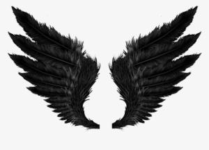 ☁ Transparents ☁ - Wings Png #4231