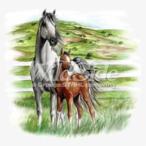 White & Brown Horses - Horse #4955