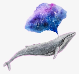 Whale Galaxy Edit Challenge Tumblr - Whale Png #4984