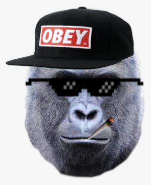 Mlg Memes Png - Unwelcomegreetings Harambe The Gorilla Mask By Rapmasks #5247