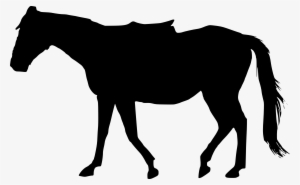 Free Download - Horse Silhouette Transparent Png #5393