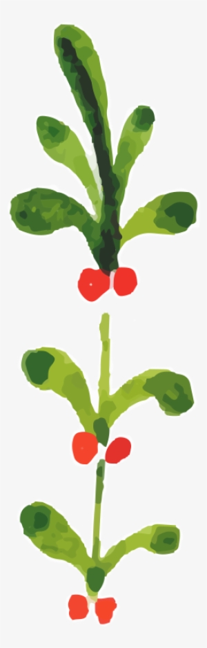 Watercolor Painting Christmas Plants Download - Watercolor Christmas Flowers Png #5697