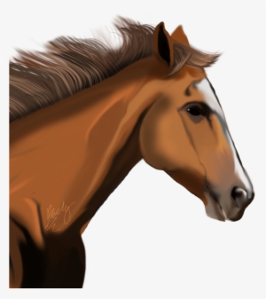 Horse Png - Horse Head Transparent Background #5722