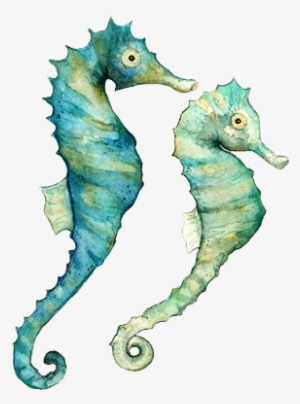 Seahorses Watercolor Print, Watercolor Paintings, Watercolor - Sea Horse Watercolor #5755