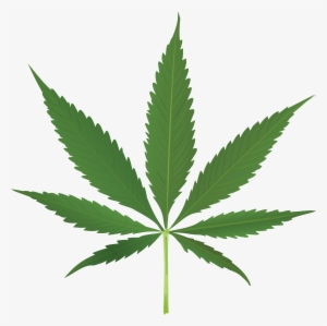 Download - Cannabis Leaf #5756
