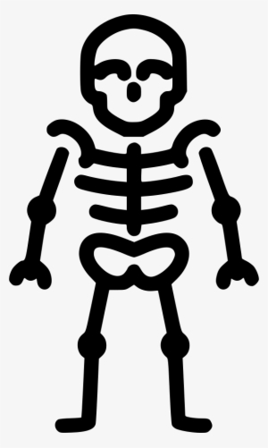 Png File - Skeleton Icon Png #5784