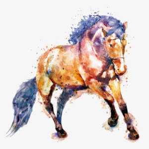 Bleed Area May Not Be Visible - Horse #5825