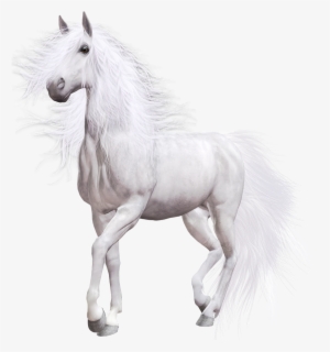 White Horse Png Clip Art - Horse White Clip Art #5958