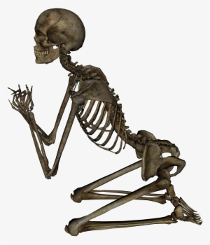 Skeleton #5984