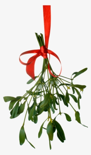 Mistle - Christmas Tumblr Text Post #6105