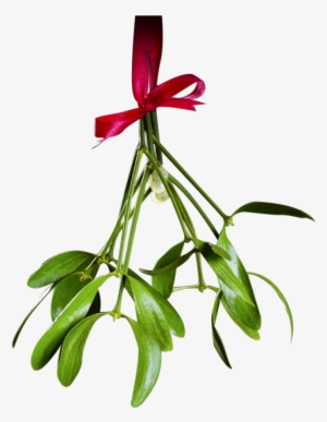 Christmas Mistletoe Png Transparent - Mistletoe Png Transparent #6194