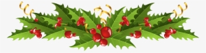 Transparent Christmas Mistletoe Decor Png Picture #6241