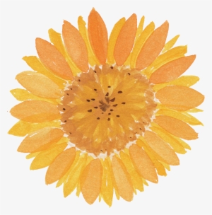 Free Download - Water Color Sunflower Png #6320