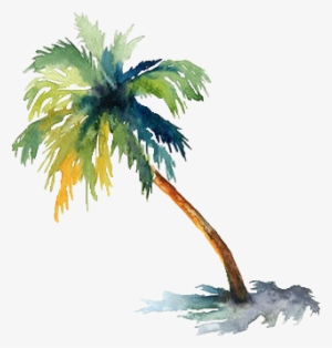 Palm Water Color #6557