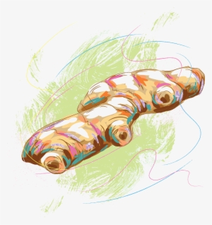 Clipart Library Download Spice Illustration Hand Painted - Vector Graphics #6630