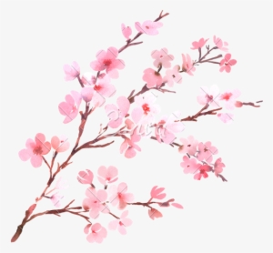 Canva Watercolor With Spring Tree Branch In Blossom - Watercolor Cherry Blossom Flower #6655
