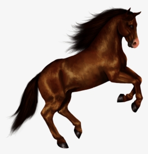 Horse Right Jump - Horse With Transparent Background #6811 Horse Right Jump - Horse With Transparent Background #6811