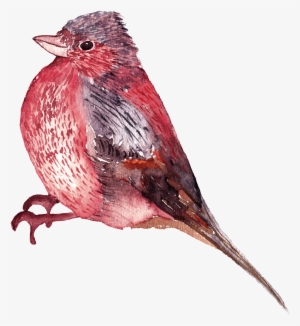 This Graphics Is Watercolor Bird Png Images About Watercolors,birds,png - Portable Network Graphics #6881 This Graphics Is Watercolor Bird Png Images About Watercolors,birds,png - Portable Network Graphics #6881