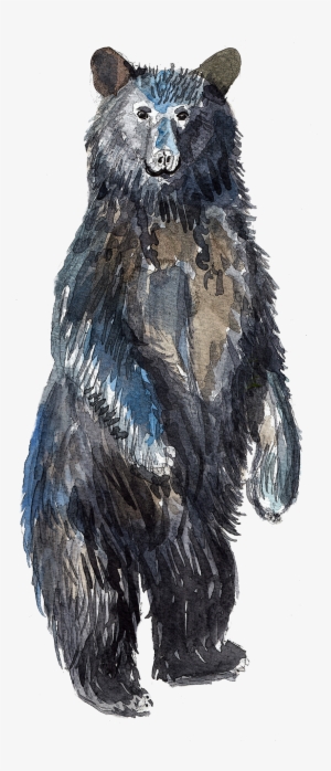 Watercolour Art Watercolor Bear Bear Happy Bear Watercolor - Painting #7052