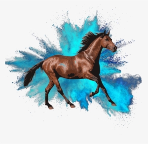 " Horses Need Patience - Picsart Photo Studio #7204
