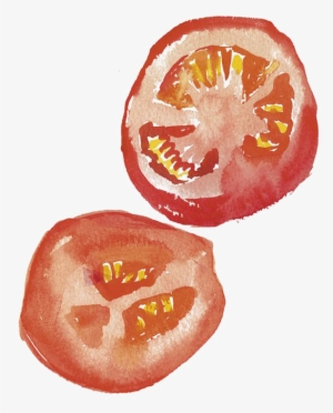 Drawing Watercolor Painting Art Illustration - Tomato Peach Drawing Watercolor #7429