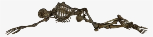 Free Icons Png - Lying Skeleton Transparent #7516