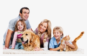 South Howard Animal Clinic Carpet Cleaning Family #751