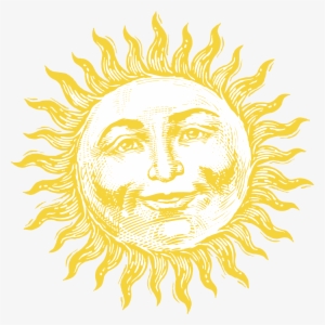 Waterpik Logo Png Transparent - Starting With W #7576