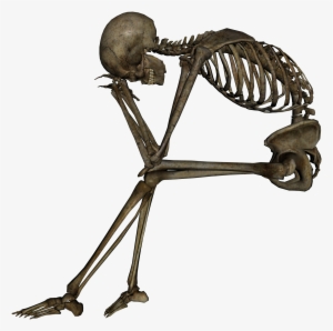 Skeleton Png - Meme Do Otaco Fedido #7820