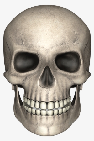 Skull Png Image - Skull Png #7925