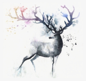 Deer Watercolor Painting Out Of The Cot Art - Deer Watercolor #8101