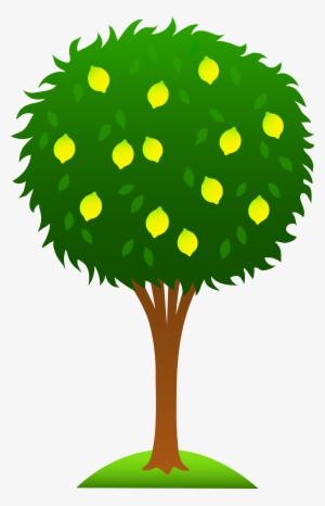 Cartoon Tree Clipart Pinterest - Lemon Tree Clip Art #8503 Cartoon Tree Clipart Pinterest - Lemon Tree Clip Art #8503