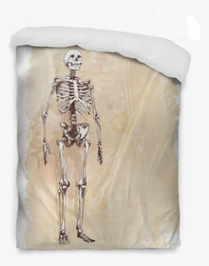 Skeleton Sketch & Watercolor Vintage Background Duvet - Skeleton #8583