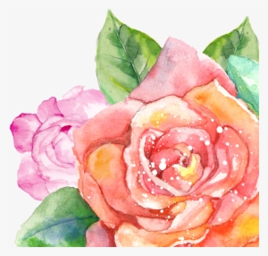 Inkess - Watercolor Summer Flowers Png #8636
