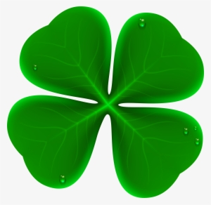 Clover Png Clipart #8674