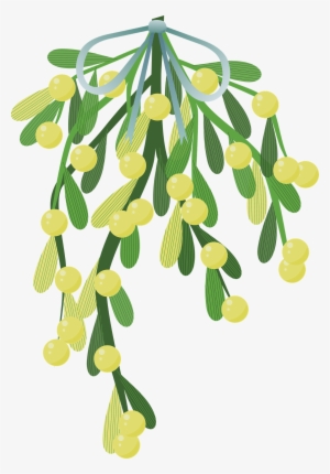 Wishbone Mistletoe Happy New Year Glückliches Neujahr - Mistletoe Illustration Png #8724