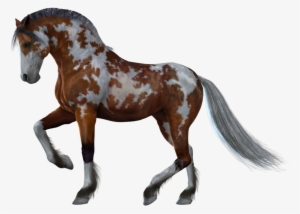 Horse Png Image - Horse With White Background #9064 Horse Png Image - Horse With White Background #9064