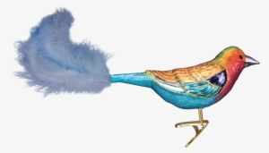 Bird Ornaments And Decorations #9132