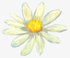 ภาพ วาด ผึ้ง กับ ดอกไม้ #9161