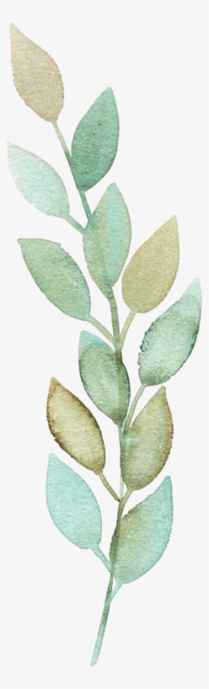 Фото, Автор ✿lili@ ✿ На Яндекс - Cute Bay Leaf Drawing Png #9588