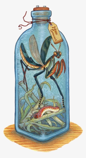 Legendary Creature Drawing Bottle Watercolor Painting - Creature In A Bottle #9630 Legendary Creature Drawing Bottle Watercolor Painting - Creature In A Bottle #9630