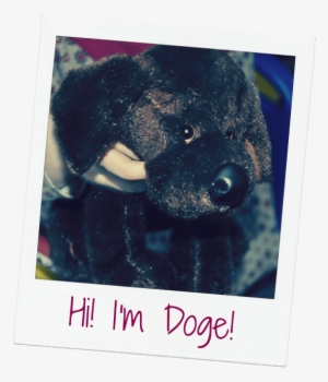 Tasmanian Devil #9653