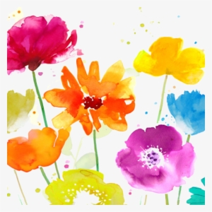 Daisies Drawing Watercolour - Watercolor Painting #9673