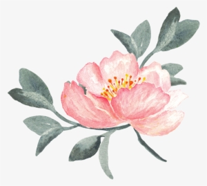 Peony Clipart Swag - ภาพ วาด ดอกไม้ Png #9678