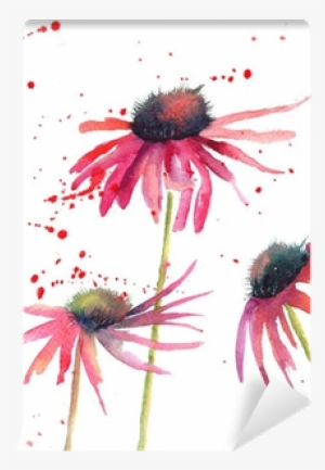 Summer Flowers, Watercolor Flowers Wall Mural • Pixers® - Watercolour Flowers Simple Painting #9775