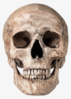 Skull Png Image - World Golf Championships Mexico #10315