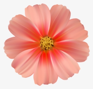 Fun Daisy Cliparts - Cosmea Flower Png Imaged #10345