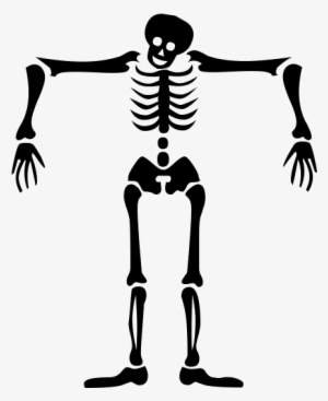 Halloween Skeleton Vector Free Png Background Image - X-ray Tech Mousepad #10405